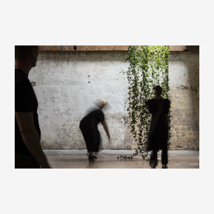 Bláthanna - Irish Spaces in Flower