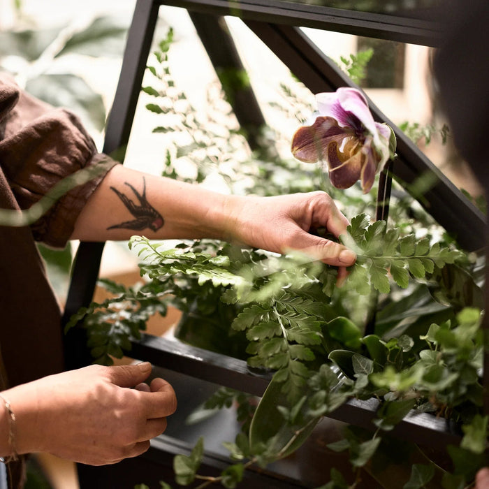 Indoor Greenhouse