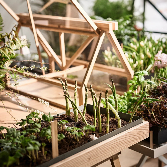 Indoor Greenhouse