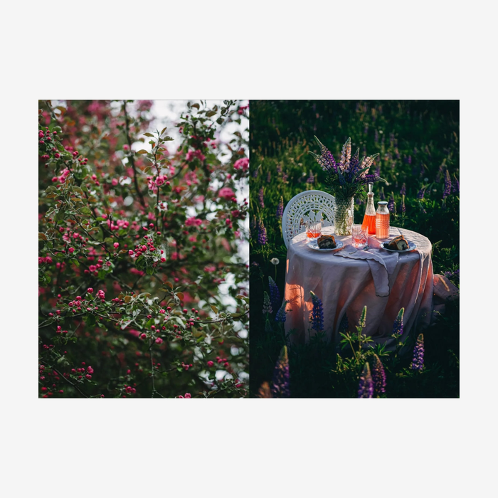 Nordic Summer Cookbook