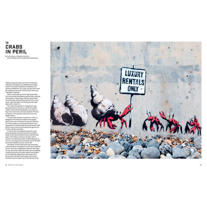 Banksy's Lost Works