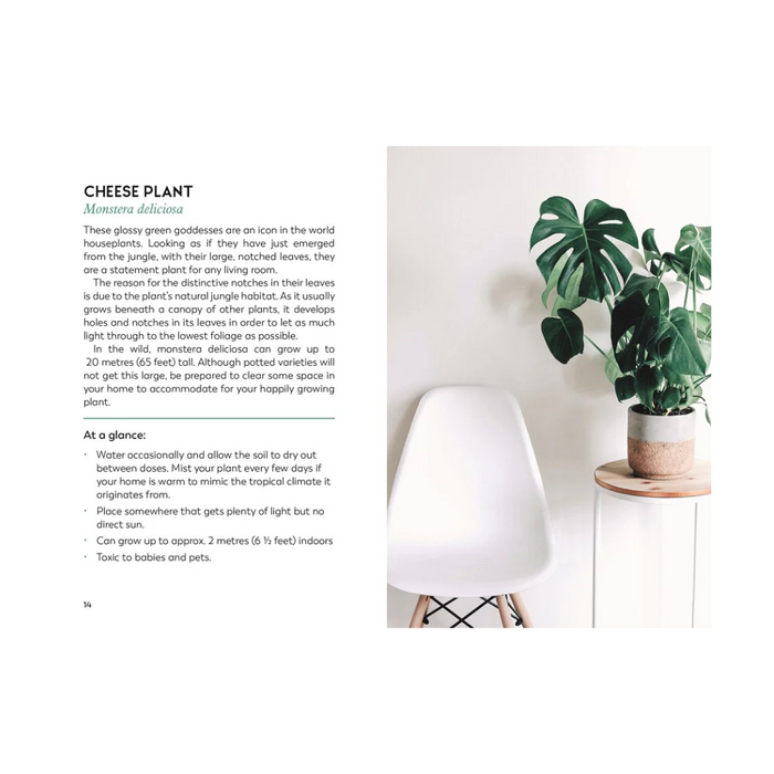 The Little Book for Plant Parents