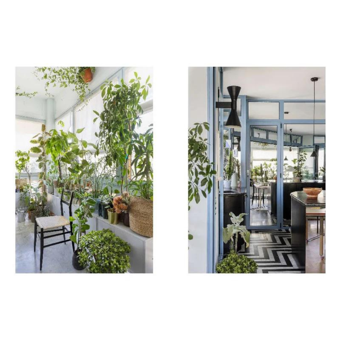 Interiors Decorated by Nature
