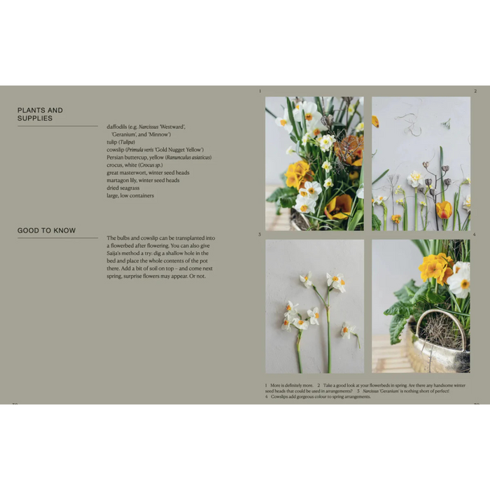 The Potted Garden
