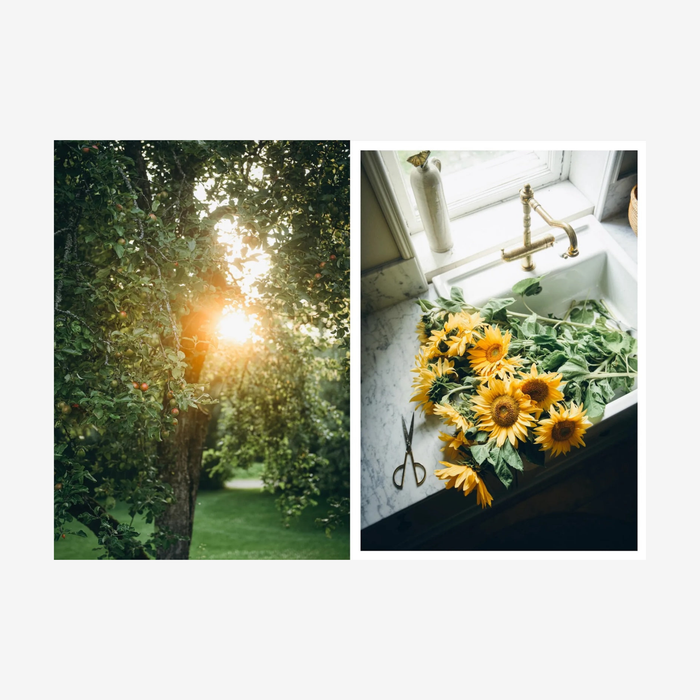 Nordic Summer Cookbook