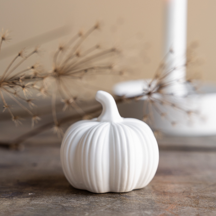 Small White Pumpkin Decoration