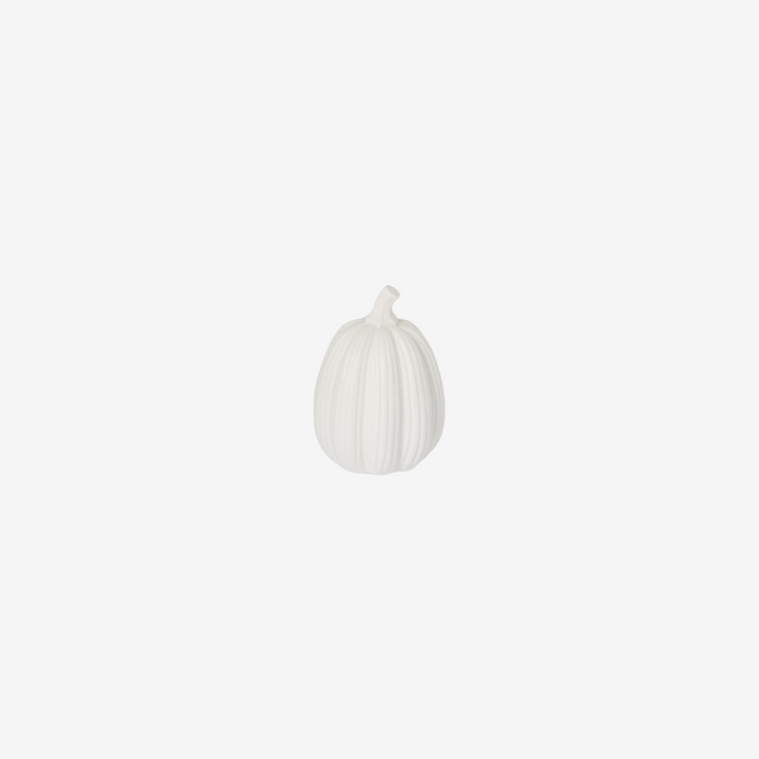 Small White Pumpkin Decoration