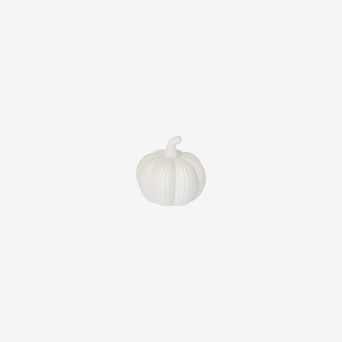 Small White Pumpkin Decoration