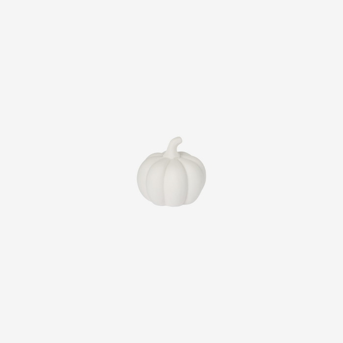 Small White Pumpkin Decoration