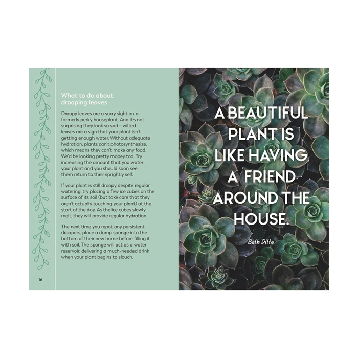 The Little Book for Plant Parents