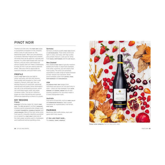 Wine - Taste Pair Pour