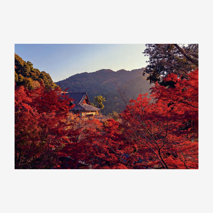 Japan - Voyage Collection