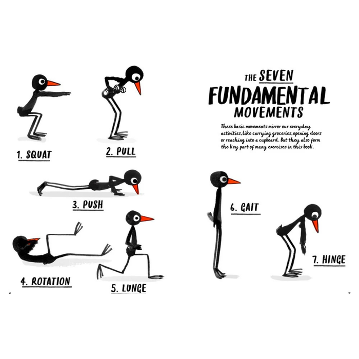 How to be a Fit Bird