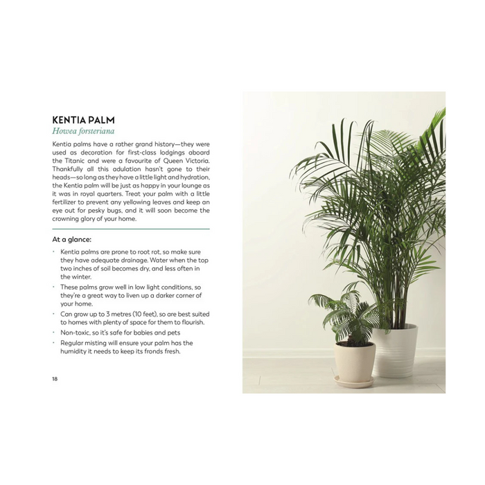 The Little Book for Plant Parents
