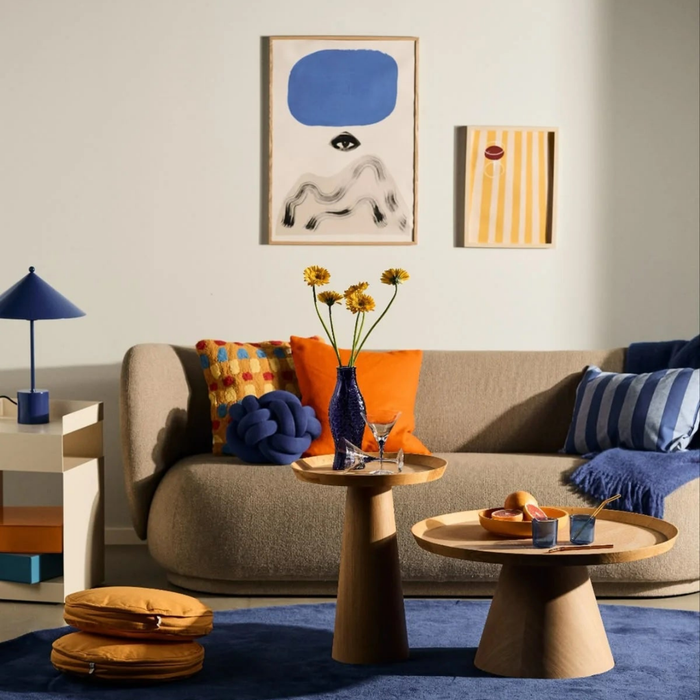Vibrant Interiors