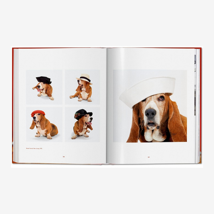 Dogs. Walter Chandoha. Photographs 1941–1991