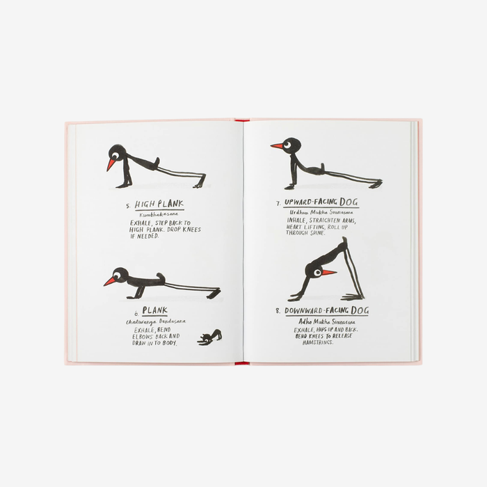 Yoga For Stiff Birds