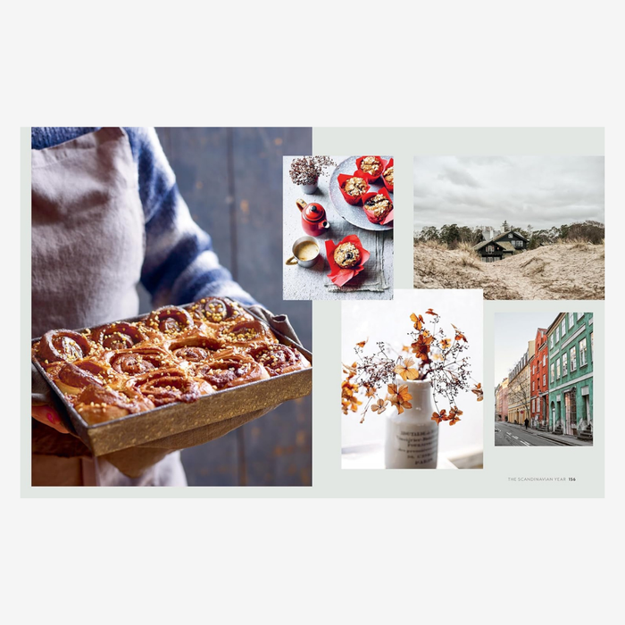 The Scandinavian Year