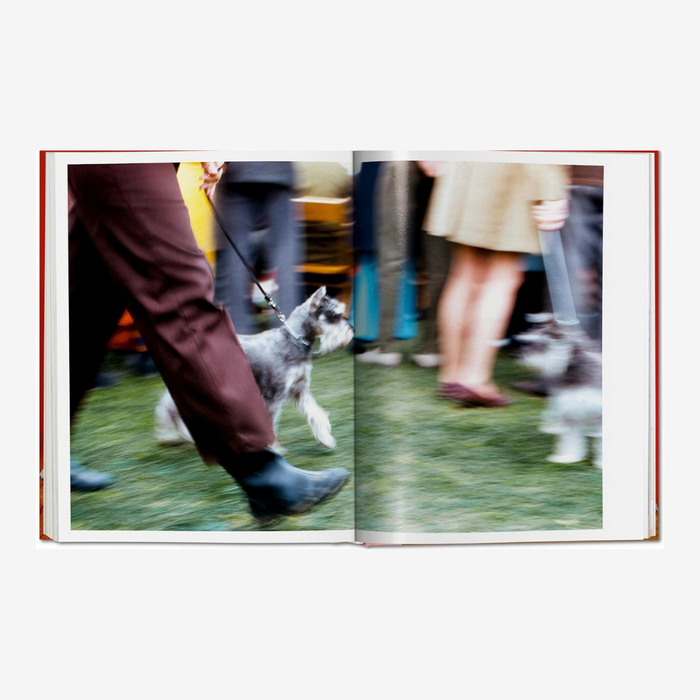 Dogs. Walter Chandoha. Photographs 1941–1991