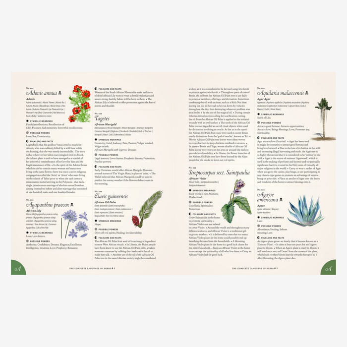 The Complete Language of Herbs