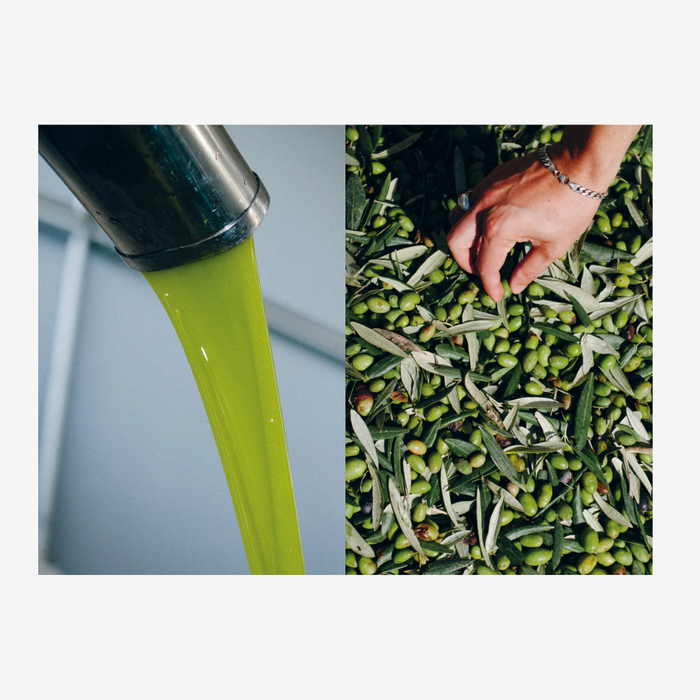 Olive Oil