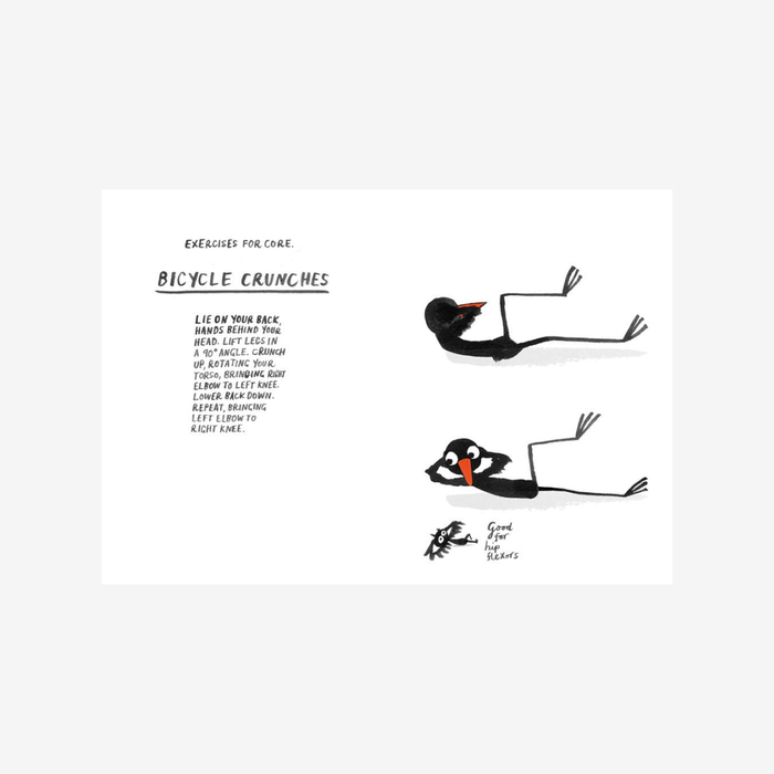 How to be a Fit Bird