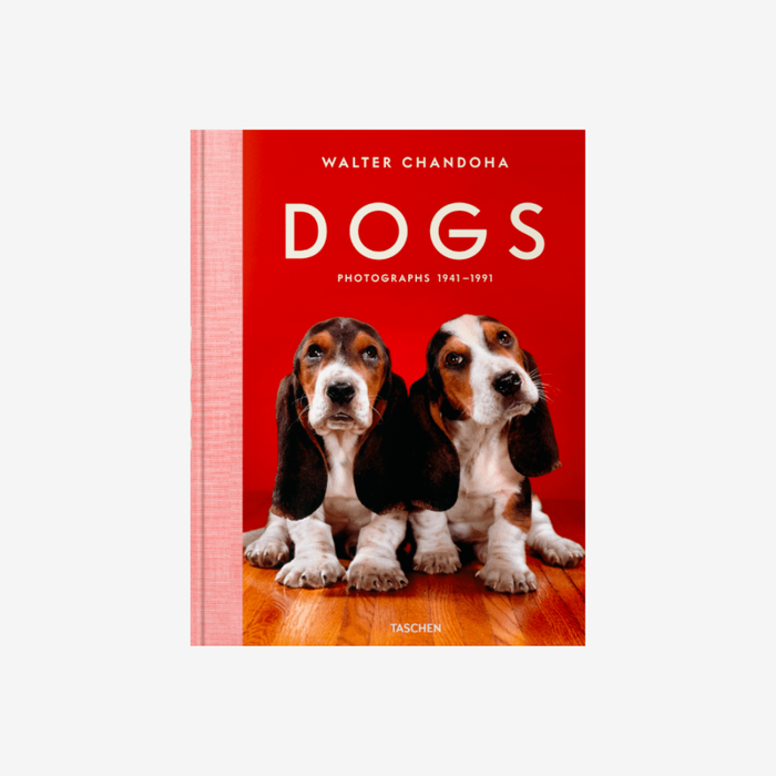 Dogs. Walter Chandoha. Photographs 1941–1991