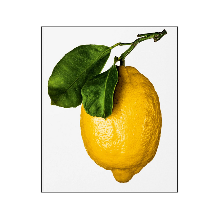 The Gourmand’s Lemon. A Collection of Stories & Recipes