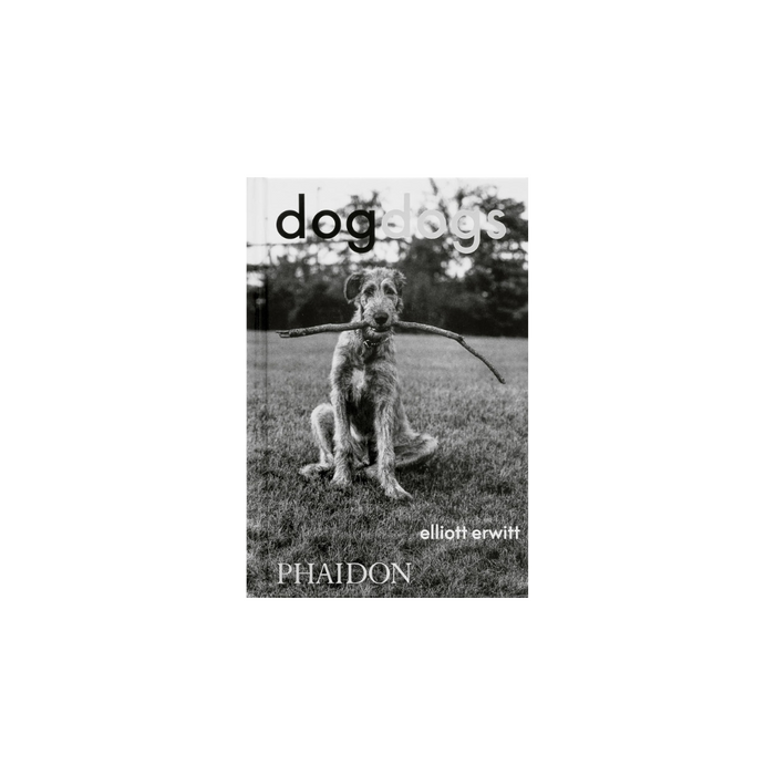 DogDogs