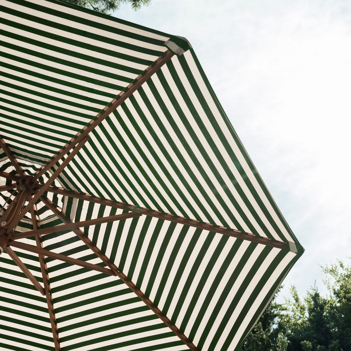Messina Umbrella Campaign