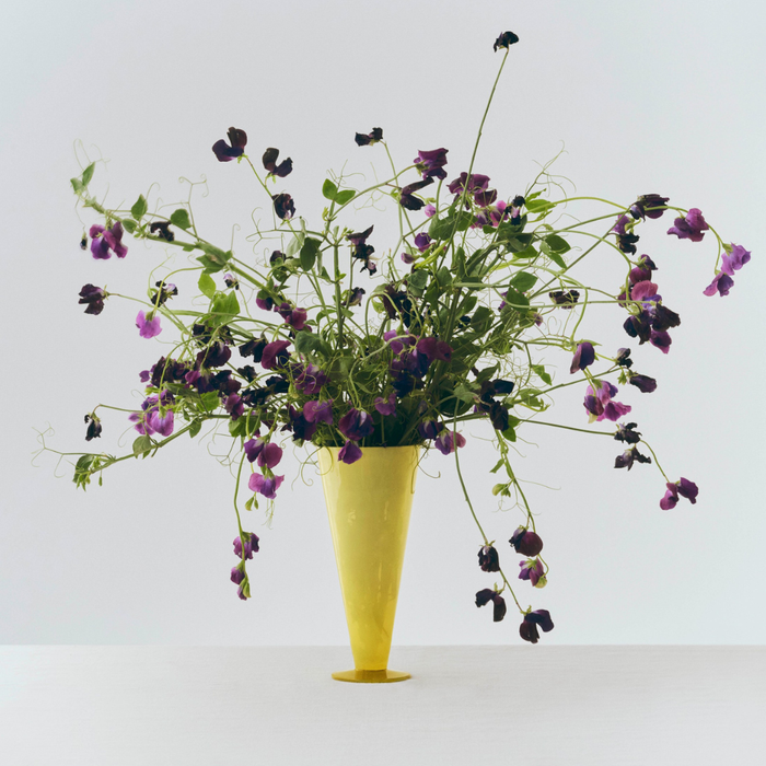 Conical Vase