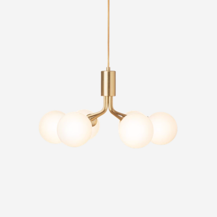 Apiales 6 Chandelier