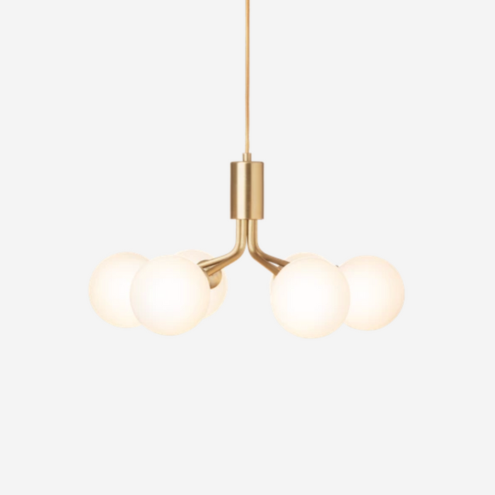 Apiales 6 Chandelier