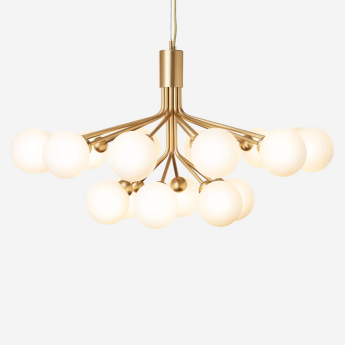 Apiales 18 Chandelier