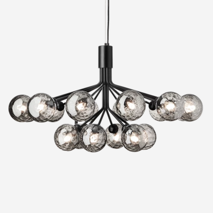 Apiales 18 Chandelier