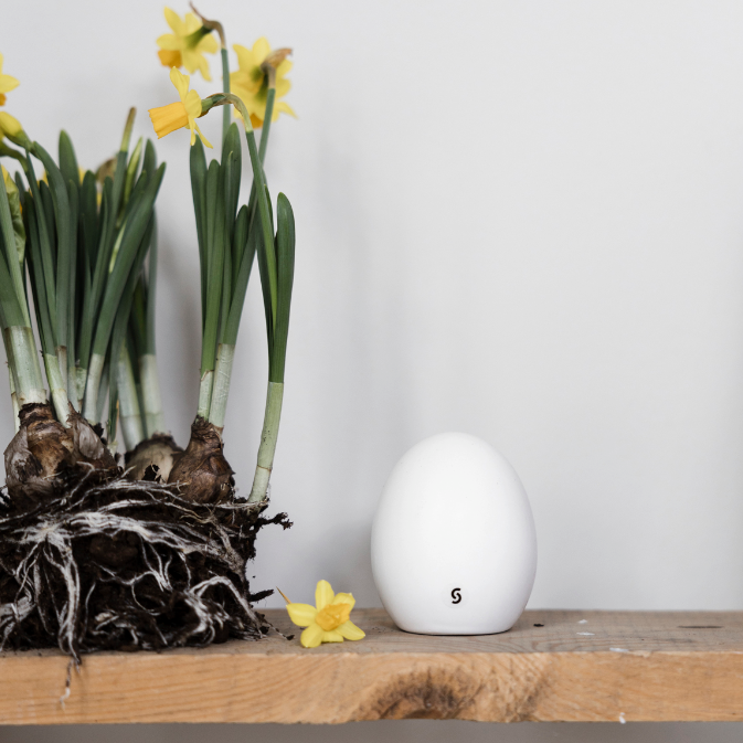 Bjuv Egg Easter Decor
