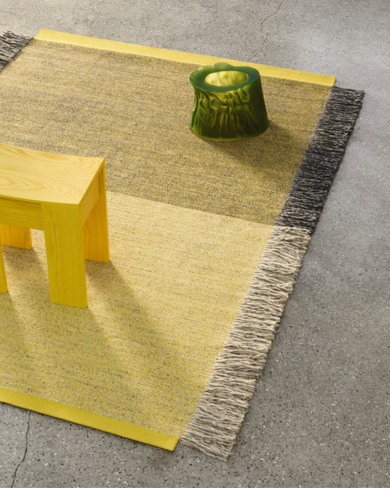 Fringe Rug - quick ship