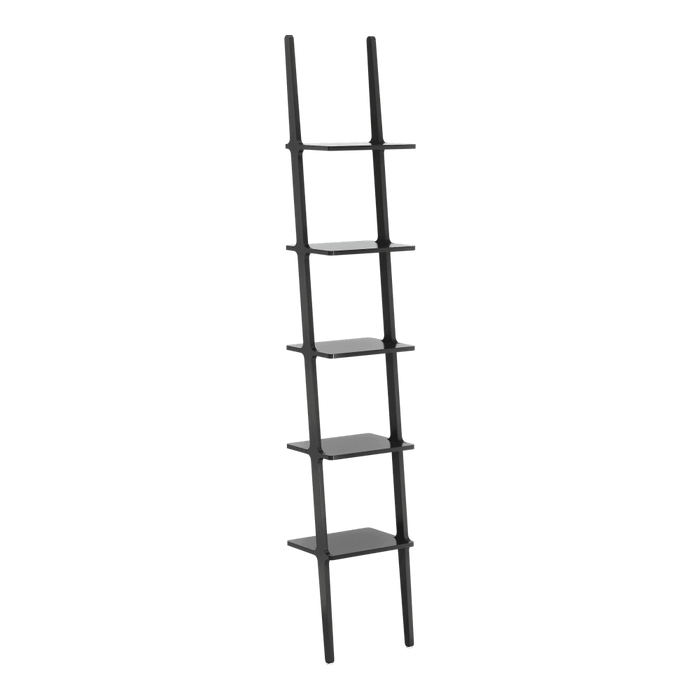 Libri 5 Shelves