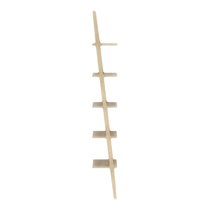 Libri 5 Shelves