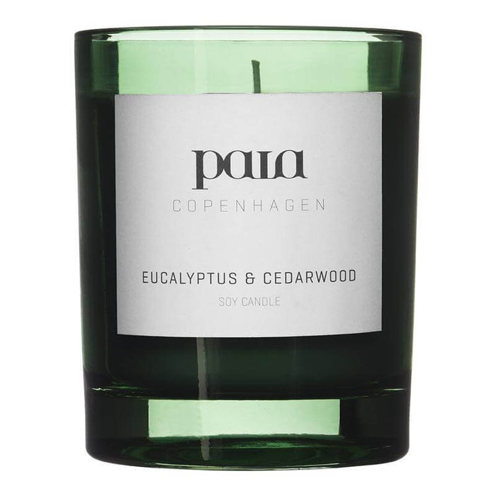 Scented Soy Candle 300g